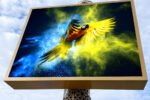 LED Screens